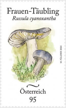 Charcoal Burner (Russula cyanoxantha)