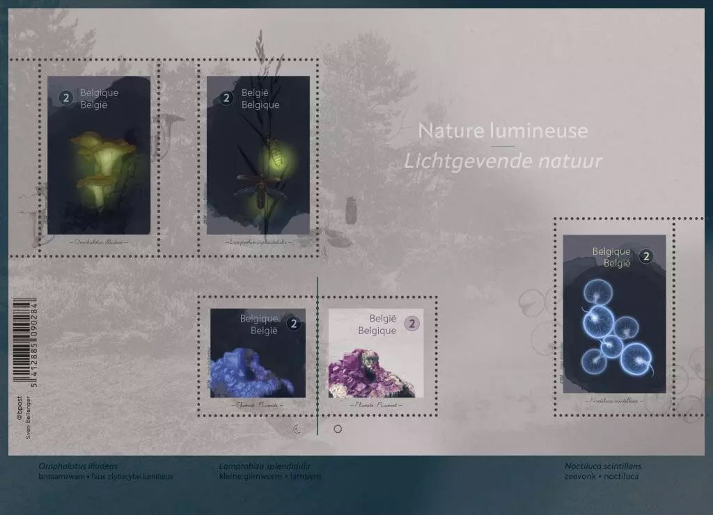 Lumionous Nature