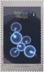 Stamp, Single-Celled Algae (Noctiluca scintillaus), Belgium,  , Plants (Flora)