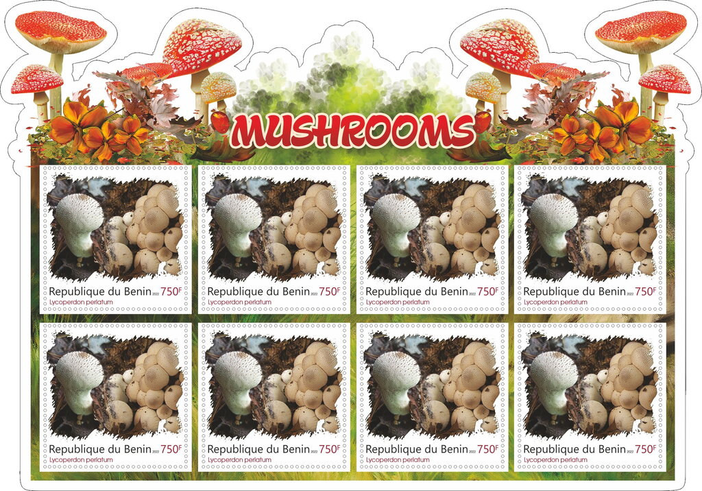 Mushrooms
