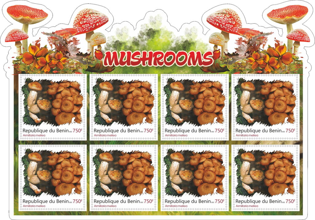 Mushrooms
