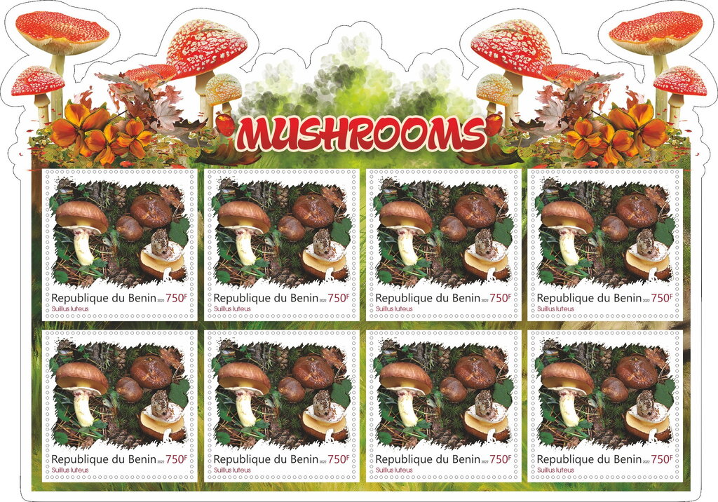 Mushrooms