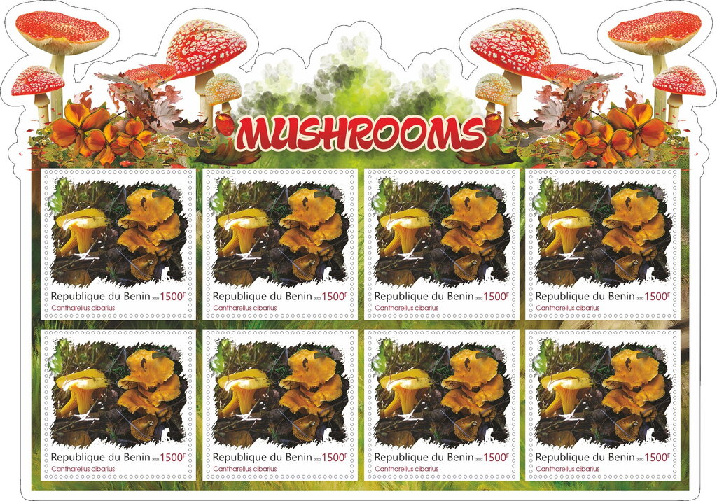 Mushrooms