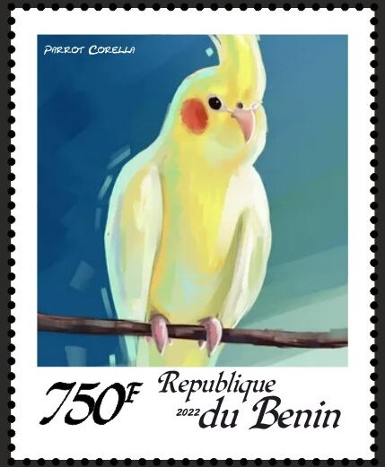 Parrots