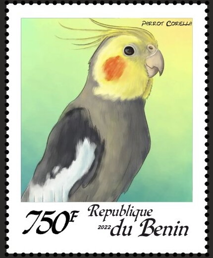 Parrots