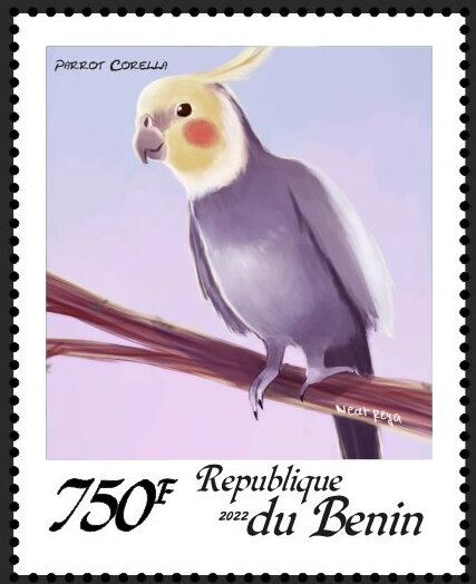 Parrots