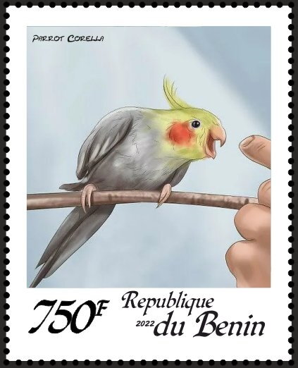 Parrots