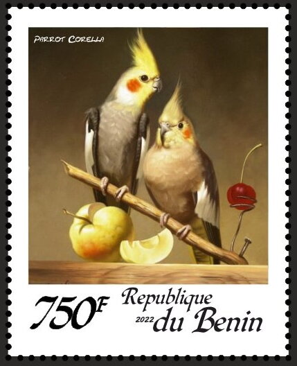 Parrots