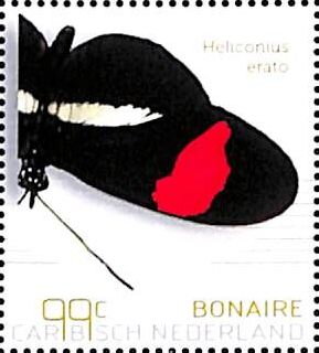 Red Postman (Heliconius erato)
