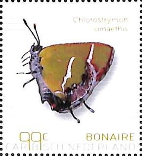Silver-Banded Hairstreak (Chlorostrymon simaethis)