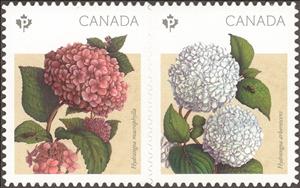 Se-tenant, Hydrangea, Canada,  , Flowers, Leaves, Plants (Flora)
