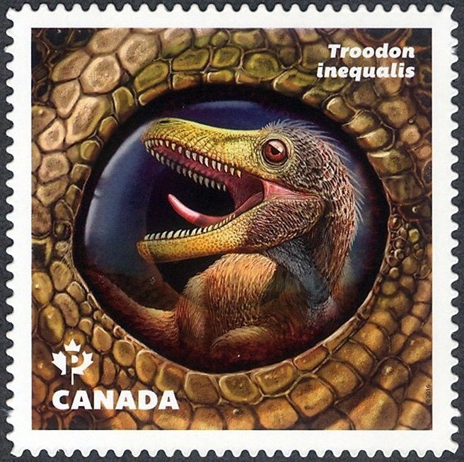 Troodon inequalis