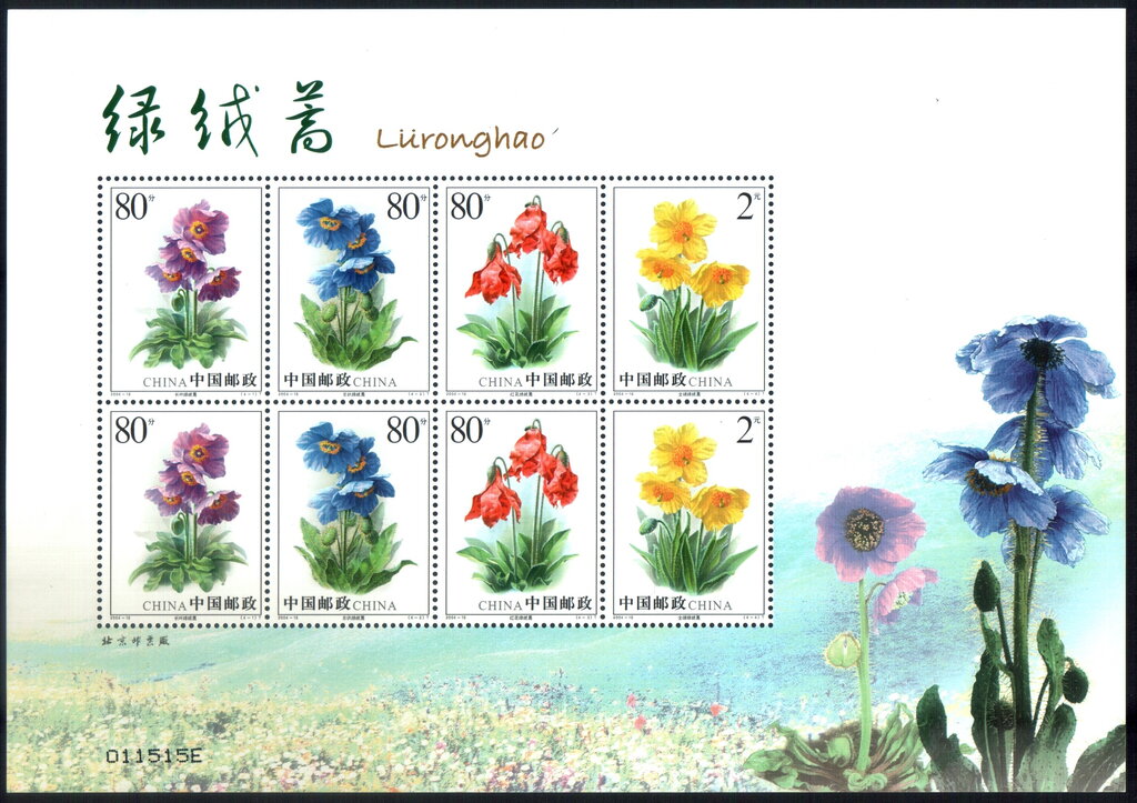Meconopsis