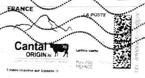 Cantal Origin XV