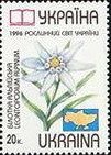 Stamp, Leontopodium alpinum, Ukraine,  , Flowers, Plants (Flora)