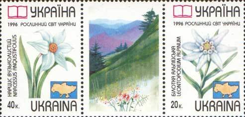 Se-tenant, Narcissus anqustifolius & Leontopodium alpinum, Ukraine,  , Flowers, Plants (Flora)
