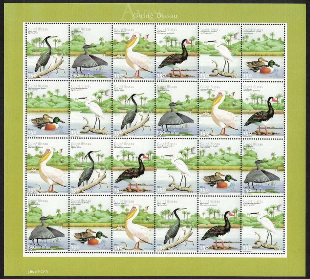 Waterbirds