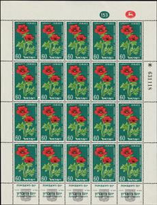 Full Pane, Crown Anemone (Anemone coronaria), Israel,  , Anniversaries and Jubilees, Flowers, Plants (Flora)