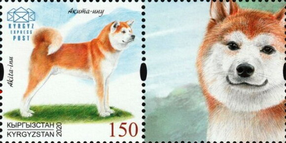 Akita Inu