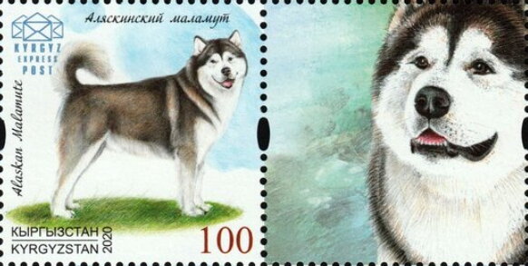 Stamp with Attached Label, Alaskan Malamute, Kyrgyzstan- Kyrgyz Express Post,  , Animals (Fauna), Dogs, Mammals
