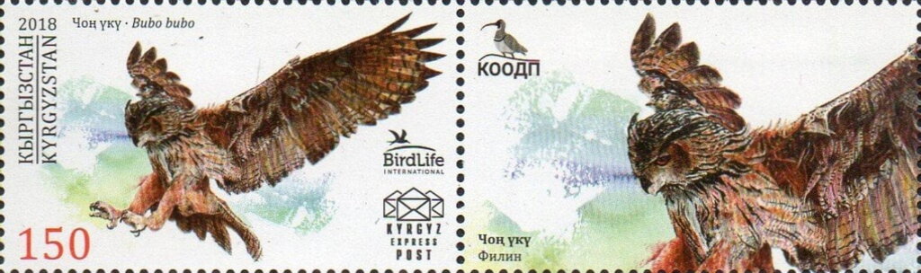 Eurasian Eagle-owl (Bubo bubo)