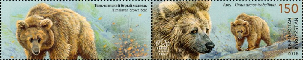 Stamp with Attached Label, Himalayan Brown Bear (Ursus arctos isabellinus), Kyrgyzstan- Kyrgyz Express Post,  , Animals (Fauna), Bears, Mammals