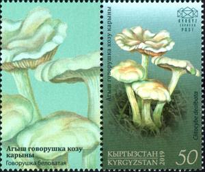 Stamp with Attached Label, Ivory Funnel (Clytocibe dealbata), Kyrgyzstan- Kyrgyz Express Post,  , Mushrooms