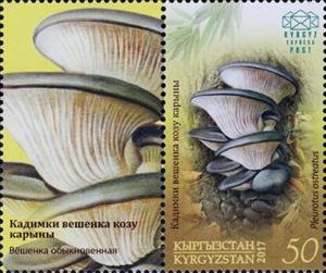 Stamp with Attached Label, Oyster Mushroom (Pleurotus ostreatus), Kyrgyzstan- Kyrgyz Express Post,  , Mushrooms