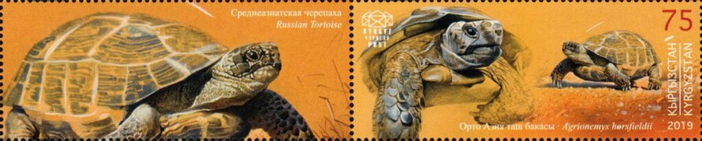 Stamp with Attached Label, Russian Tortoise (Agrionemys horsfieldii), Kyrgyzstan- Kyrgyz Express Post,  , Animals (Fauna), Reptiles, Turtles