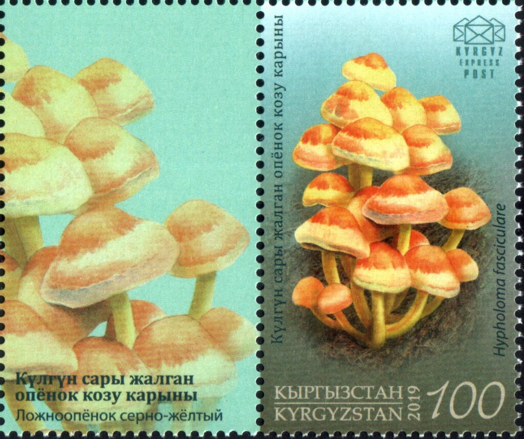 Sulfur Tuft (Hypholoma fasciculare)