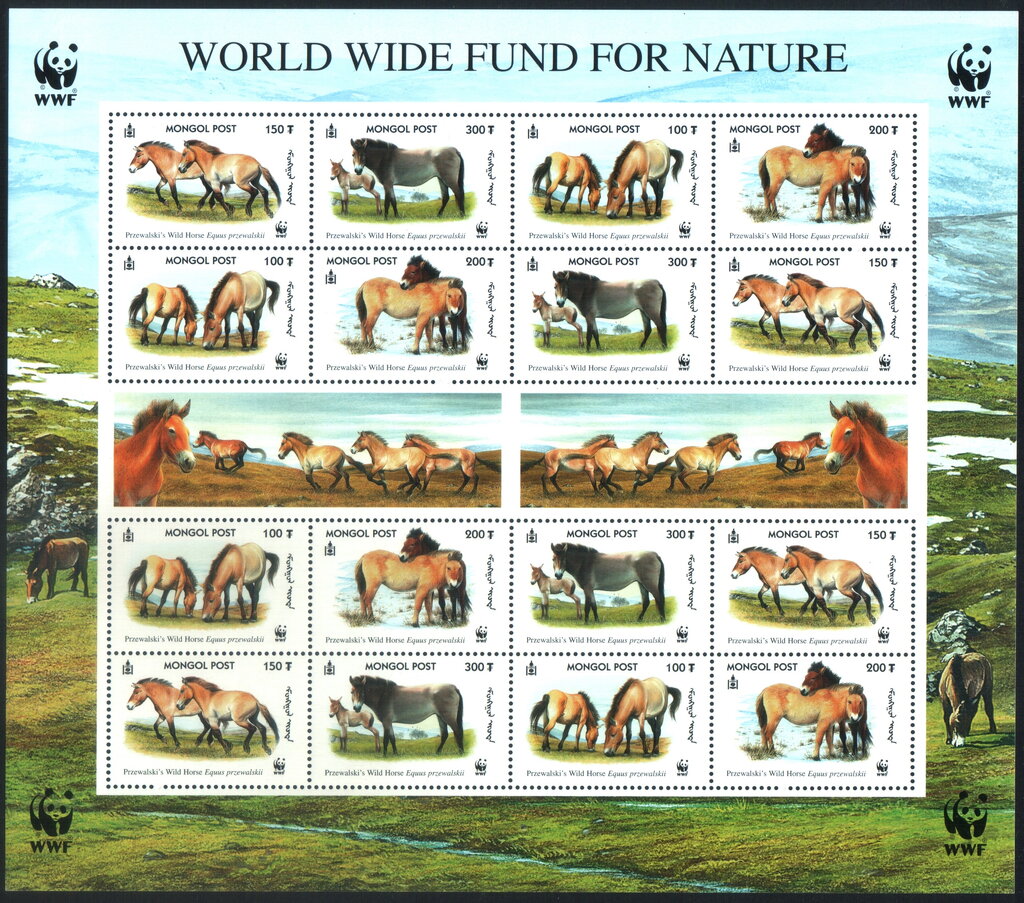 Przewalski’s horses (WWF)