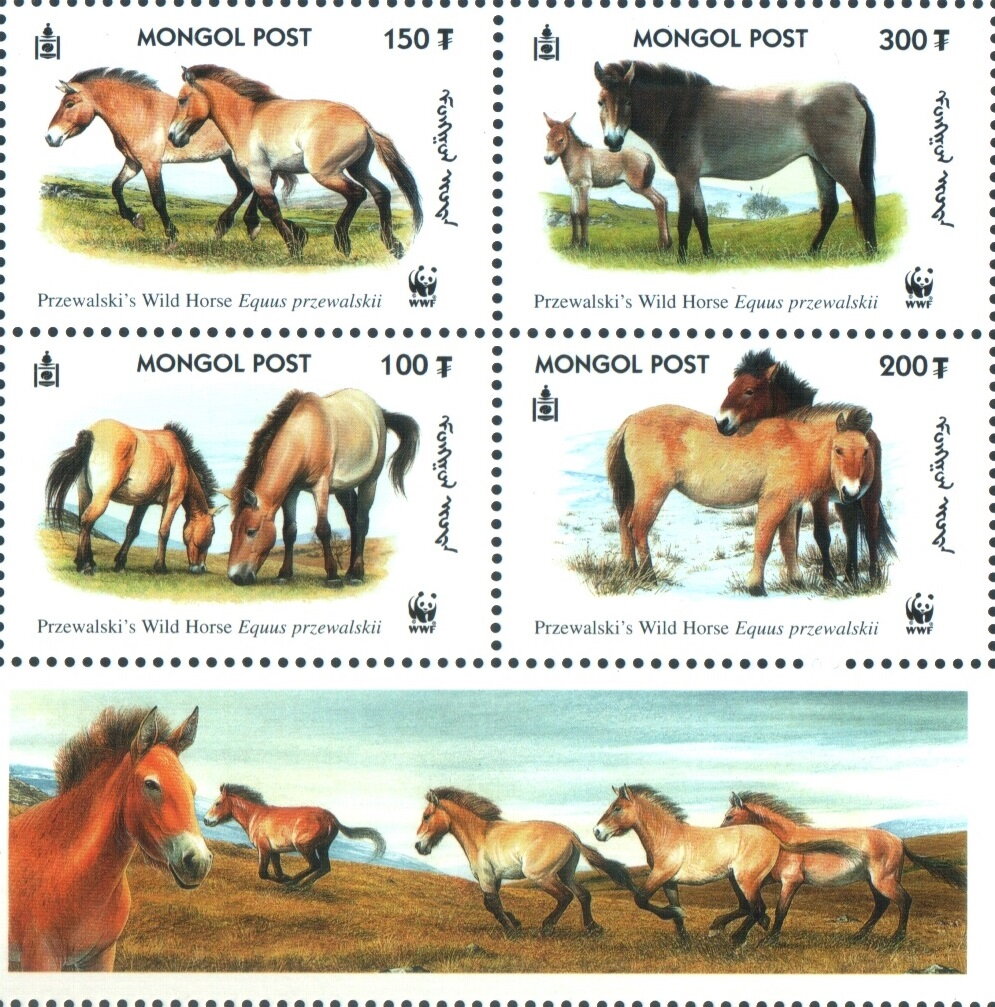 Przewalski’s horses (WWF)