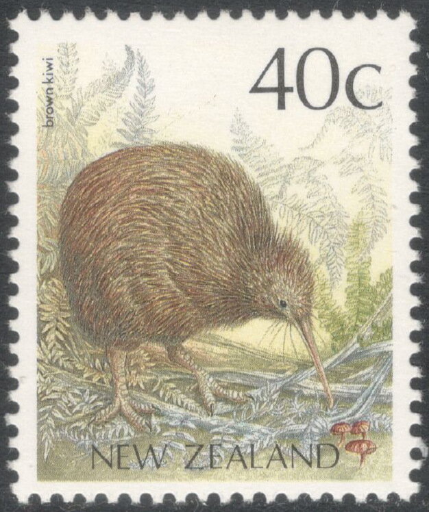 Brown Kiwi (Apteryx australis) - Reprint