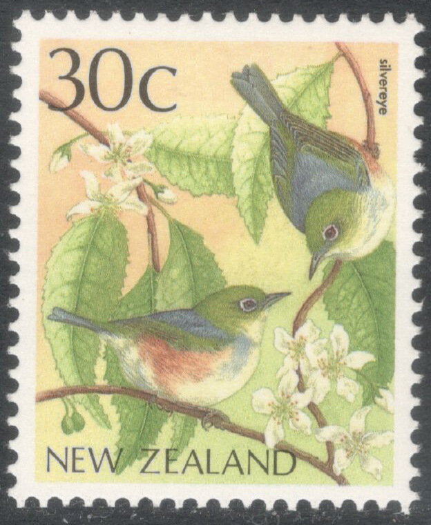Silvereye (Zosterops lateralis) - Reprint