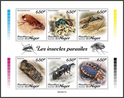Parasite Insects