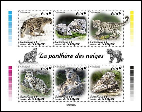 Snow Leopard