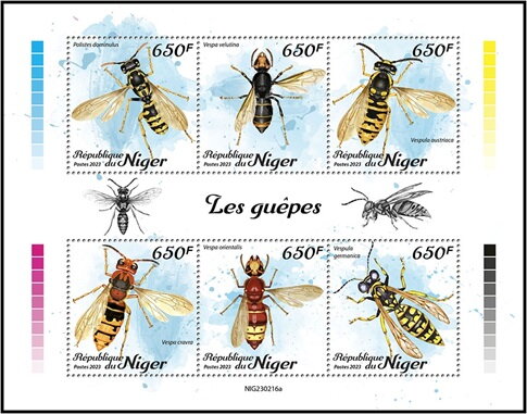Wasps
