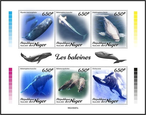 Whales