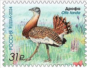 Stamp, Bustard (Otis tarda), Russia,  , Animals (Fauna), Birds