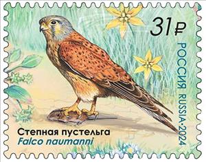 Stamp, Lesser Kestrel (Falco naumanni), Russia,  , Animals (Fauna), Birds, Birds of Prey