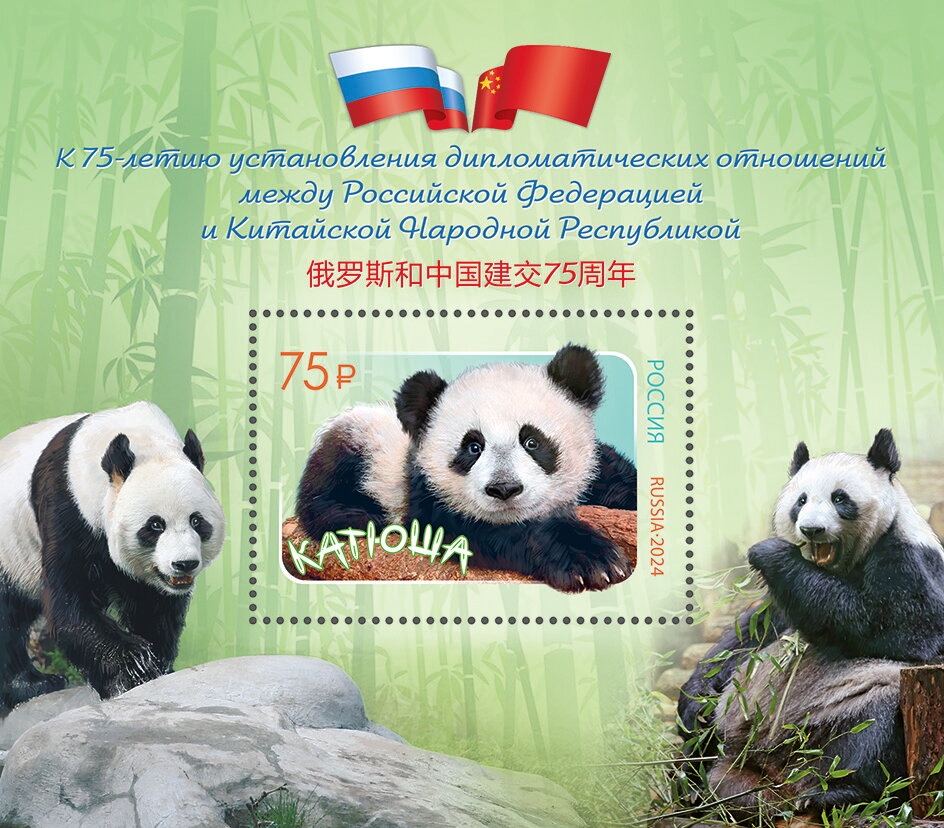 Panda Katyusha