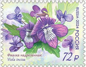 Stamp, Viola incisa, Russia,  , Anniversaries and Jubilees, Plants (Flora)