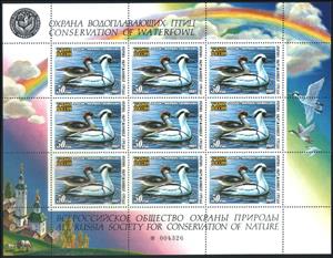Souvenir Sheet, Smew (Mergus albellus), Russia,  , Animals (Fauna), Birds, Ducks