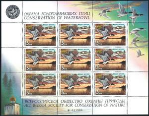Souvenir Sheet, Red-Breasted Merganser (Mergus serrator), Soviet Union, USSR,  , Animals (Fauna), Birds, Ducks