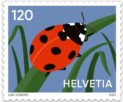 Ladybird
