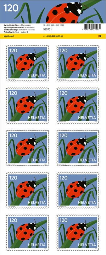 Ladybird
