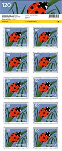 Full Pane, Ladybird, Switzerland,  , Animals (Fauna), Beetles, Insects