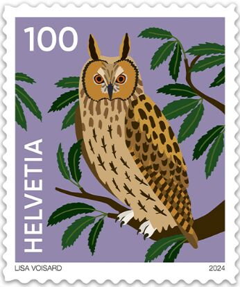 Owl