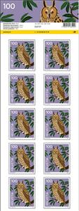 Full Pane, Owl, Switzerland,  , Animals (Fauna), Birds, Birds of Prey, Owls