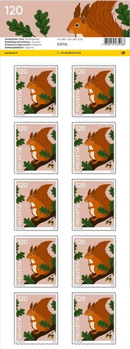 Full Pane, Squirrel, Switzerland,  , Animals (Fauna), Mammals, Squirrels